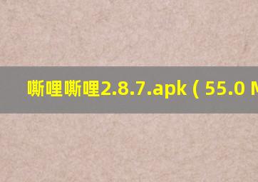 嘶哩嘶哩2.8.7.apk ( 55.0 M )